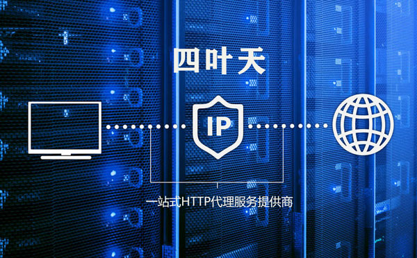 【庄河代理IP】代理IP的主要用途和使用注意事项